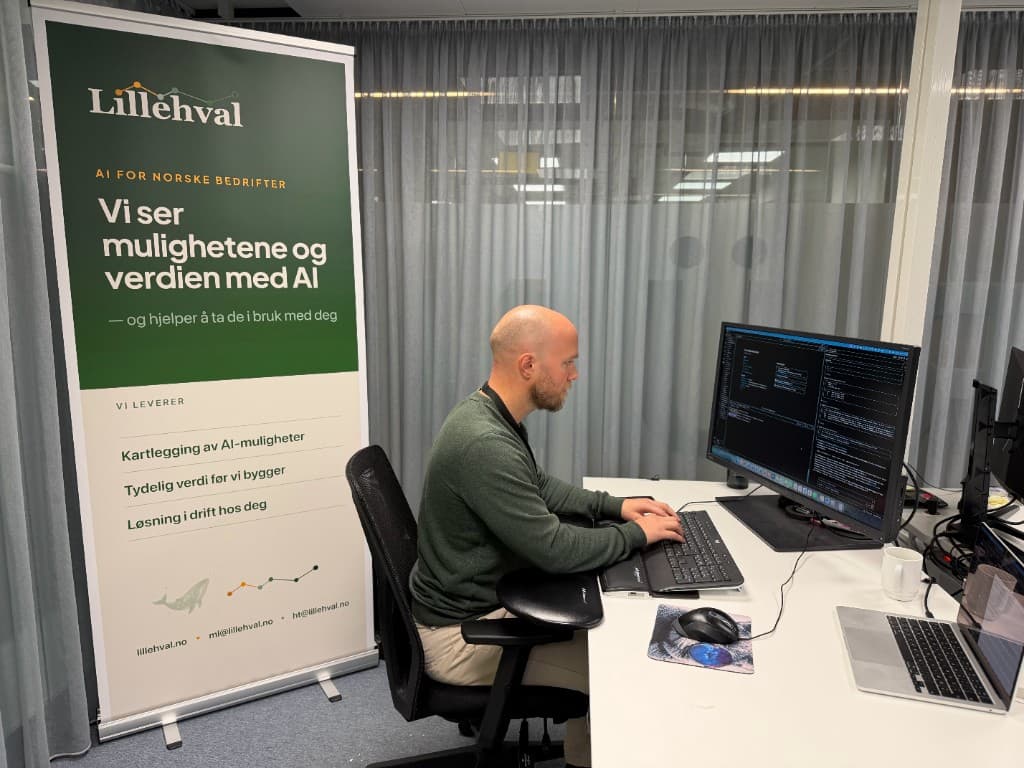 Fra gjentatte spørsmål til et system som lærer